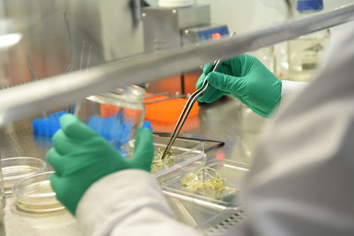 舜豐生物 以核心技術(shù)驅(qū)動，助力北方打造種業(yè)之都