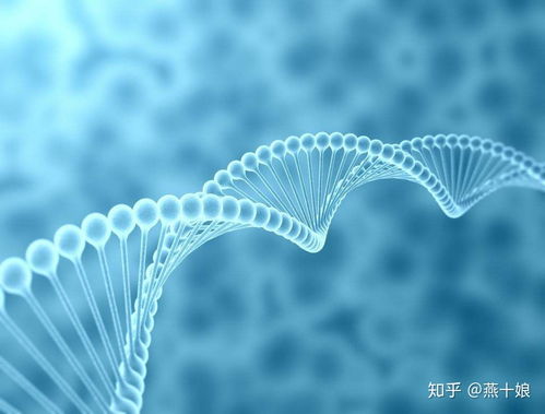 燕窩肽 生物科技賦能下的頂級護(hù)膚成分解密