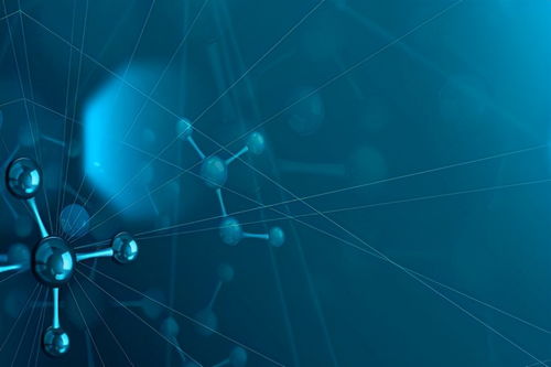 黑龍江生物技術研發公司31.42%股權轉讓公告